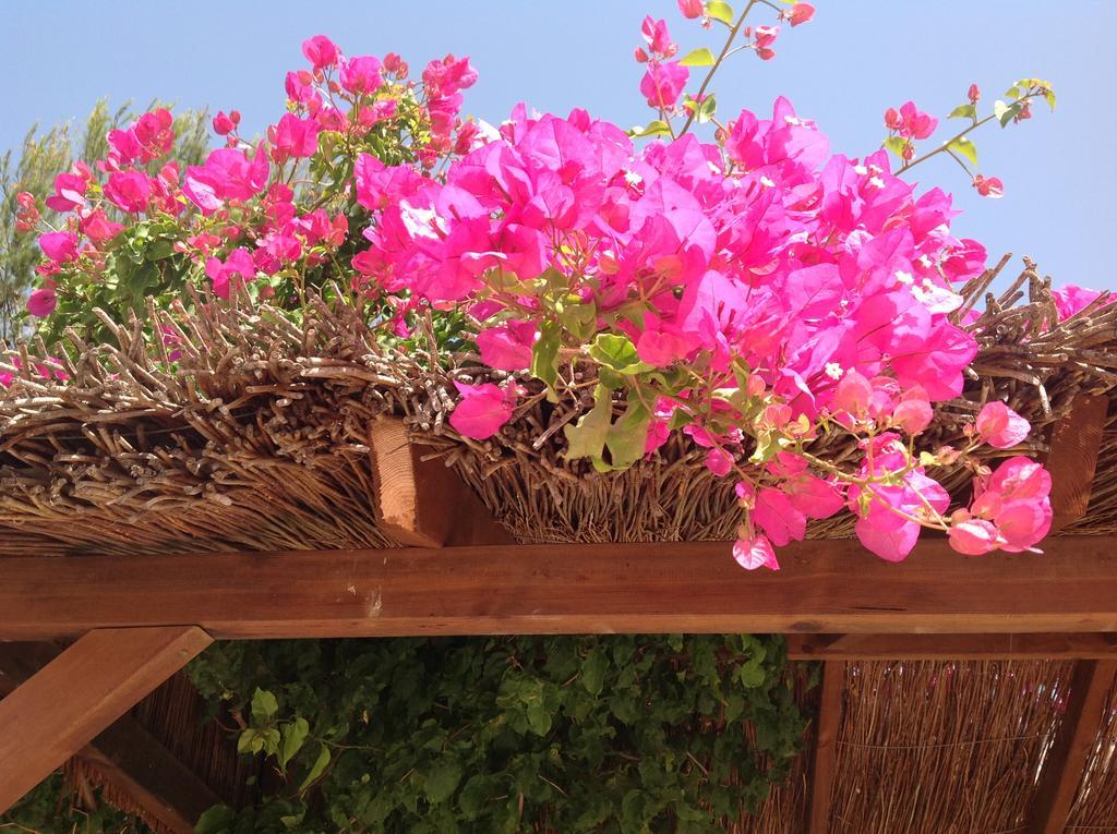 Klara, Boutiquehotel - -javea-moraira- Casa rural