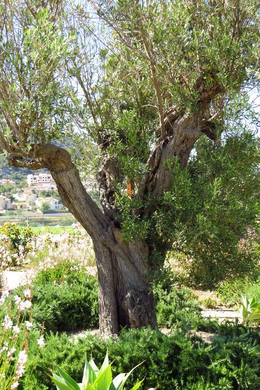 Casa rural Klara, Boutiquehotel - -javea-moraira- *